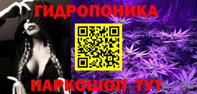 бошки Дубна