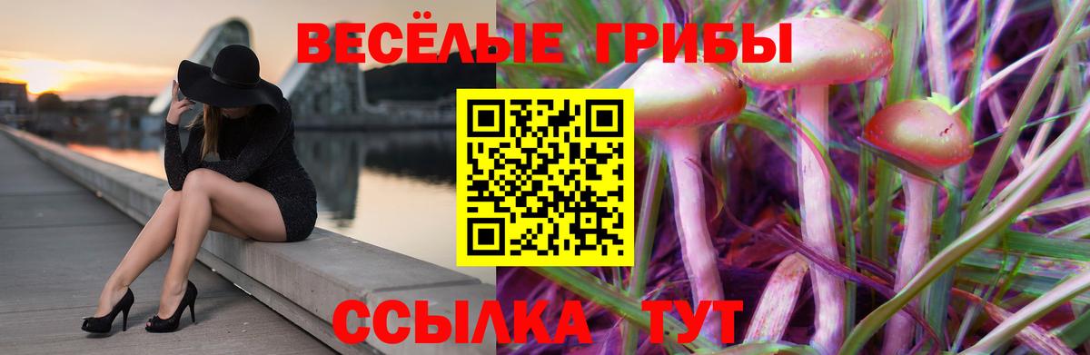 Ликино-Дулёво  Псилоцибиновые грибы MAGIC MUSHROOMS  Вход с VPN 